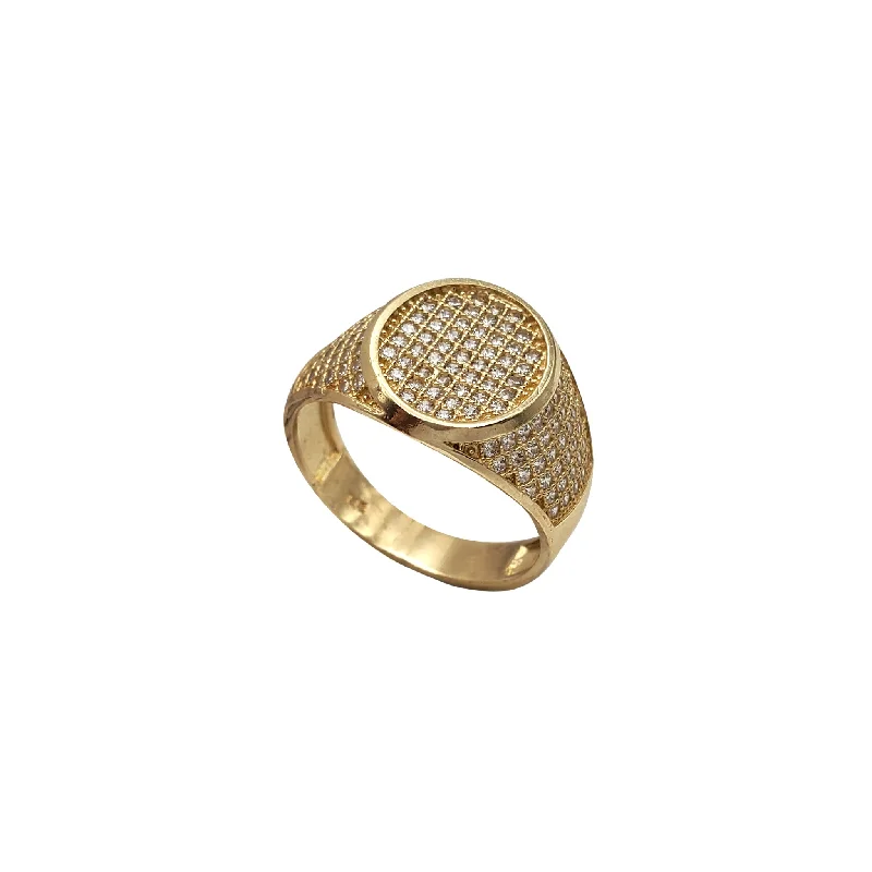 women's rings with delicate diamond accents -Iced-Out Oval Signet Ring (14K)