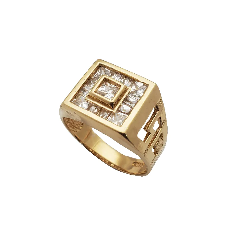 women's rings with understated beauty -Embedded Ice Square Signet Ring (14K)